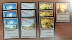 10x Swamp Basic Land - LP - Mirage - mtg SPARROW MAGIC - Image 1