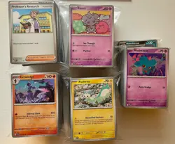 Pokemon TCG Bulk Card Lot 1000 Cards - Pokemon and Trainers - No energy or holos - Image 1