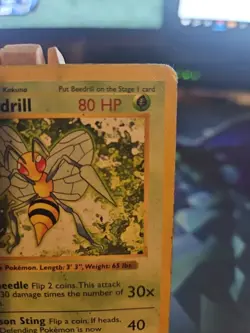 Beedrill Shadowless Base Set 17/102 WOTC 1999 Pokemon Card DMG - Image 3