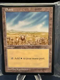 MTG - Magic The Gathering - Plains X 30 - Mirage - NP/LN! - Image 3