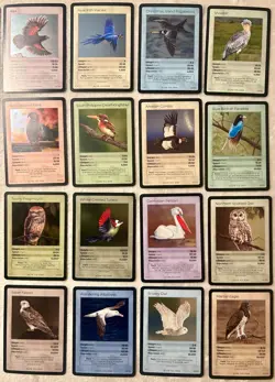 TCG Life Birds - Holo Collection - 28 Cards (#23-50) - Image 3