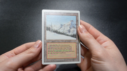 Taiga Magic Card Dual Land Revised MTG Reserved List - Image 2
