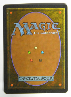 Ali Baba * ARABIAN NIGHTS * NM * Magic the Gathering MtG - Image 3