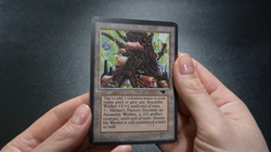 Mishra's Factory (Spring) Magic Card Antiquities MTG - Image 2