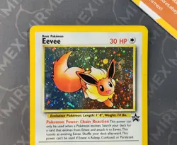 Pokemon Eevee #11 Wizard Black Star Promo English Holo - Image 3