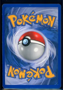Pokemon SKYRIDGE - #H26/H32 Raikou - Holo - ITA - Heavily Played - Image 2