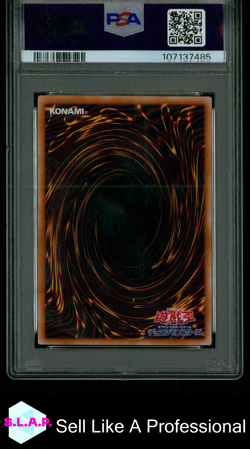 DARK MAGICIAN GIRL THE MAGICIAN'S APPRENTICE YU-GI-OH ALIN-JP004 2025 PSA 10 - Image 2