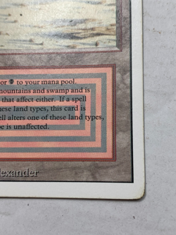 Badlands MTG Revised Edition MP (Dual Land) - Image 4