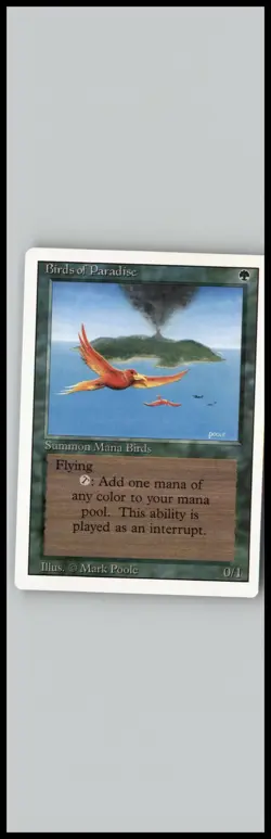 Revised Edition Birds of Paradise - Image 1
