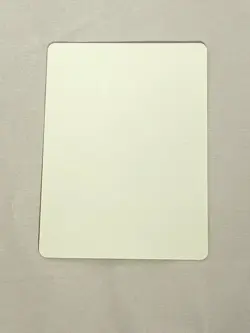 MTG Seedcradle Witch Artist Proof and Signature Signed Belledin - Image 2