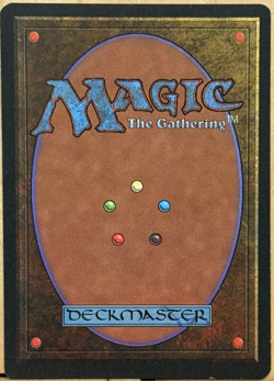 LIMITED EDITION Legends Vintage MtG Sylvan Paradise Unplayed NM - Image 2