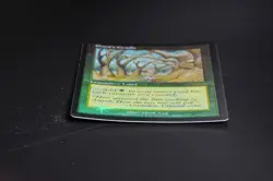 Gaea's Cradle FOIL Judge Reward Promo Reserved List MTG - Image 5