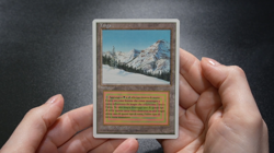 Taiga FWB Italian Foreign White-Bordered Reserved List MTG - Image 2