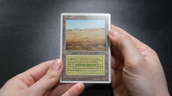 Savannah FWB Italian Dual Land Foreign White-Bordered Reserved List MTG - Image 2