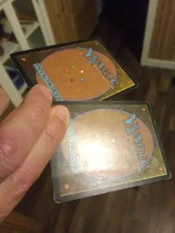 MTG Magic Food Chain x2 Mercadian Masques (1 HP, 1 MP) - Image 4