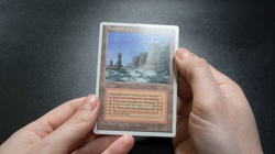 Plateau FWB Italian Foreign White-Bordered Reserved List MTG - Image 2