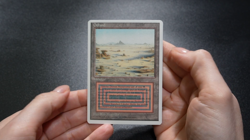 Badlands FWB German Dual Land Foreign White-Bordered Reserved List MTG - Image 2