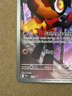 Pokemon TCG Charcadet Holo Promo 022 Phantasmal Flames English Nm - Image 4