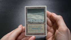 Tundra FWB Italian Foreign White-Bordered Reserved List MTG - Image 2