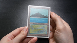 Tropical Island FWB German Foreign White-Bordered Reserved List MTG - Image 2