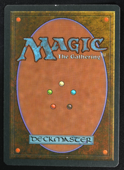 Tropical Island FWB German Foreign White-Bordered Reserved List MTG - Image 4