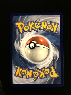 Houndoom 066/064 Illustration Rare Shrouded Fable Pokemon TCG | NM - Image 3