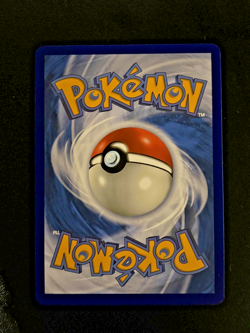 Houndoom 066/064 Illustration Rare Shrouded Fable Pokemon TCG | NM - Image 5