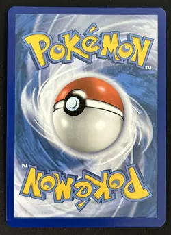 Blaziken VMAX 021/198 Chilling Regin Full Art Ultra Rare Pokemon TCG Card NM - Image 2