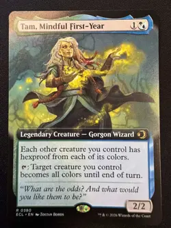 Tam, Mindful First-Year (Extended Art) - 0380 - Lorwyn Eclipsed ECL - MTG NM/M - Image 1