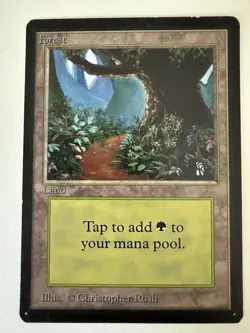 Forest (B) Limited Edition - Beta Edition Regular, Magic the Gathering (MTG) - Image 1