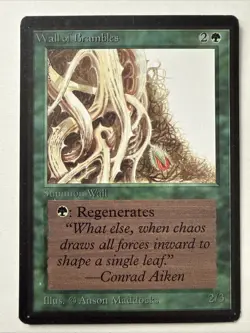 Wall of Brambles Limited Edition - Beta Edition Regular, Magic The Gathering MTG - Image 1