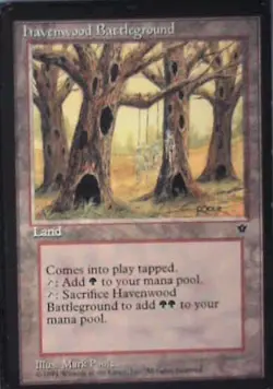 Havenwood Battleground - Fallen Empires: #96, Magic: The Gathering Mp R37 - Image 1
