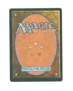 MAGIC NORTHERN PALADIN MTG EN 4th (FOURTH) EDITION 1995 - MAX - Image 2
