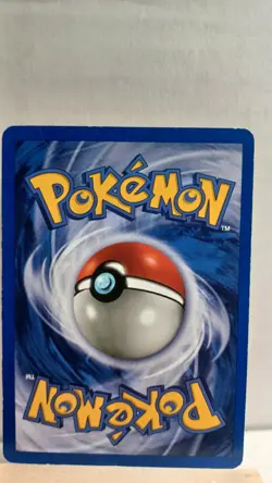 Phanpy [HP] - Pokemon TCG Neo Genesis 43/111 [Uncommon] - Image 2