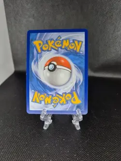 Dachsbun EX 067/142 S&V Stellar Crown Holo Double Rare Pokemon Card - Image 2
