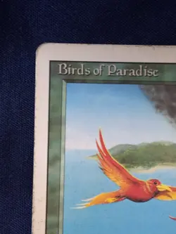 Birds of Paradise Revised Edition HP MTG - Image 2