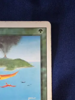 Birds of Paradise Revised Edition HP MTG - Image 3