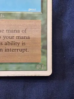 Birds of Paradise Revised Edition HP MTG - Image 4