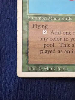 Birds of Paradise Revised Edition HP MTG - Image 5