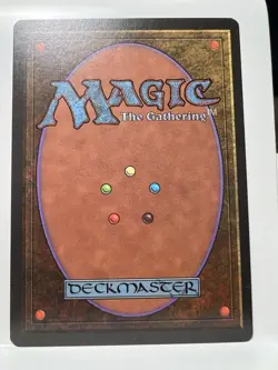 KAYSA - 1996 Alliances MTG LP - Image 2