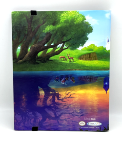 RARE 2016 Zelda Official Trading Card Game Nintendo Binder w/Sleeves Enterplay - Image 2