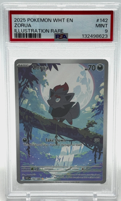 Zorua Illustration Rare Holo PSA 9 MINT (2025) Pokemon White Flare WHT 142/086 - Image 1