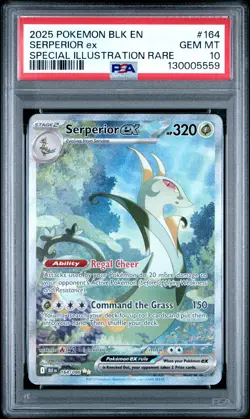 2025 POKEMON BLK EN-BLACK BOLT SPECIAL ILLUSTRATION RARE SERPERIOR EX PSA 10 - Image 1