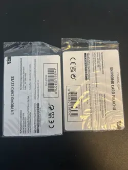Pokemon Pikachu Eevee Together Cards Pokepost Promos sealed - Image 2