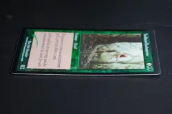 Verduran Enchantress FOIL Magic Card 7th Edition MTG - Image 4