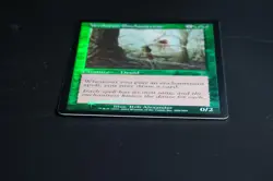 Verduran Enchantress FOIL Magic Card 7th Edition MTG - Image 5