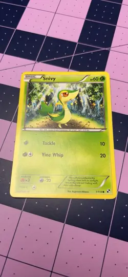 Pokemon TCG Snivy Black & White 1/114 Regular Common Card - Image 1