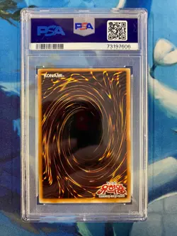 PSA 2007 YU-GI-OH! KOR. E-HERO DARK NEOS POTD-ULTIMATE RARE #KR033 NM-MT 8 - Image 2