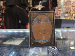 NM Wan Shi Tong, Librarian - Avatar: The Last Airbender MTG 0076 Never Played - Image 2