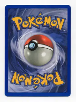 Pokemon TCG Kangaskhan Holo Rare Jungle 5/64 NM - Image 2